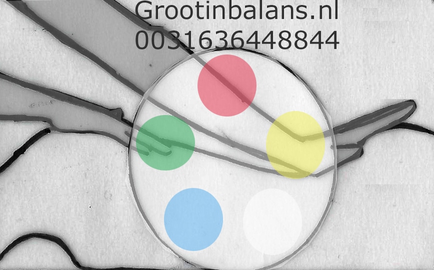 groot-in-balans-nl-logo